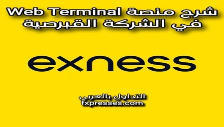 شرح منصة Web Terminal في exness وكيفية التداول عليها