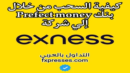 السحب من exness إلى بنك Perfect Money