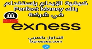 طريقة الايداع في شركة exness بإستخدام بنك Perfect Money